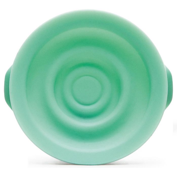 Elvie Afsluitplaatjes