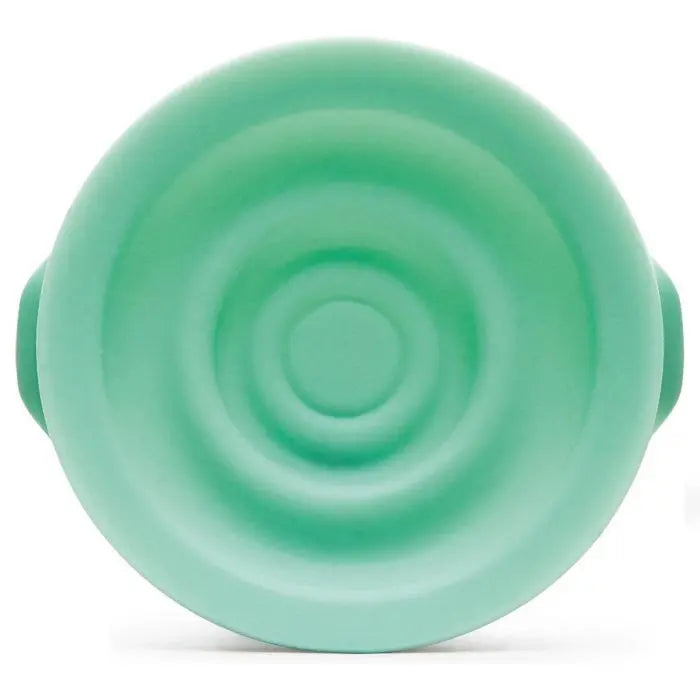 Elvie Afsluitplaatjes