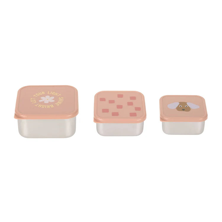 Lässig Roestvrije Snackbox 3 Delige Set - Party Rose