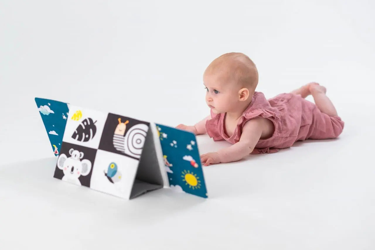 Taf Toys Tummy-Time Mirror Book
