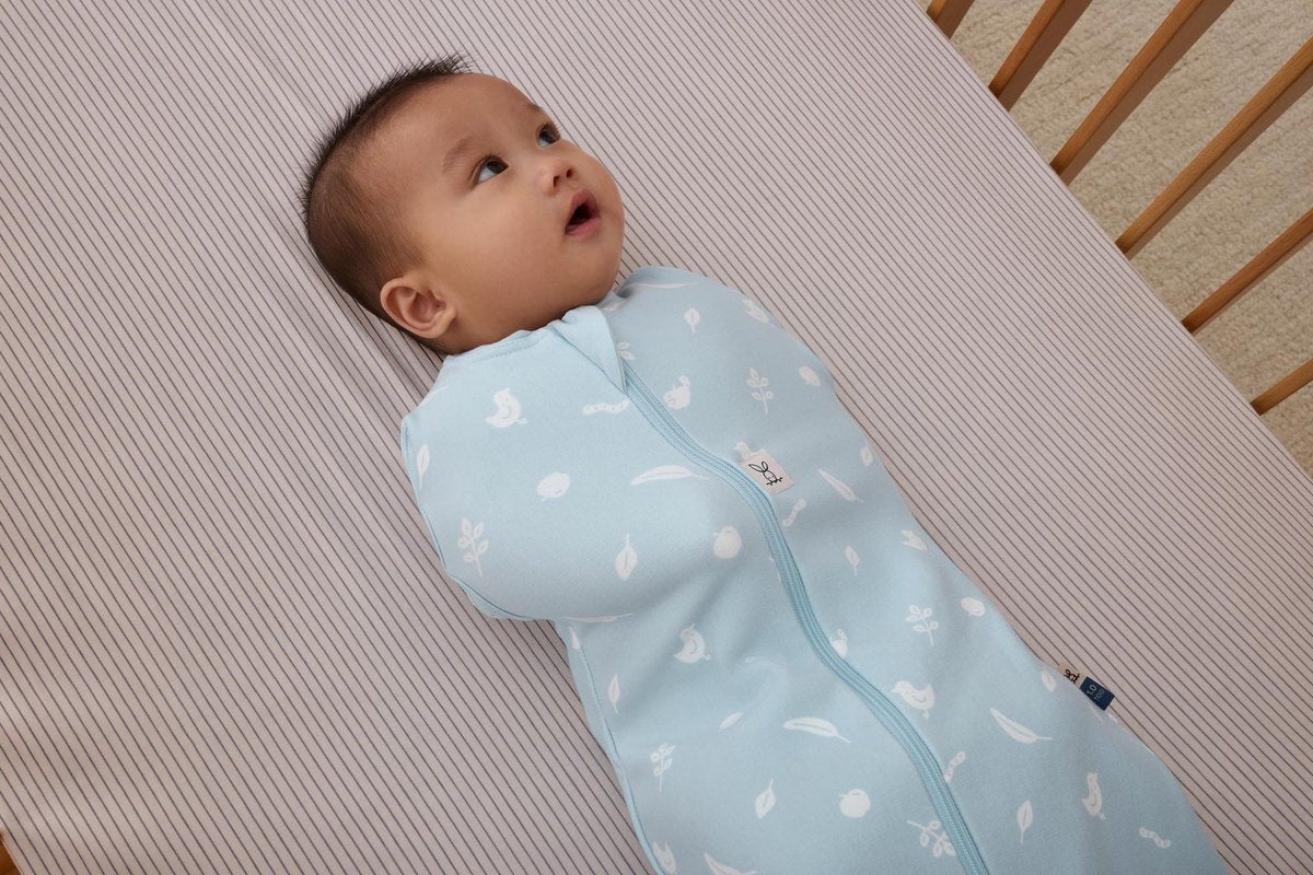 Ergopouch Cocoon Combi Slaapzak Baby + Inbakerslaapzak 0,2 Tog 3-6M - Ducks